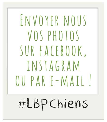 Envoyer nous vos photos